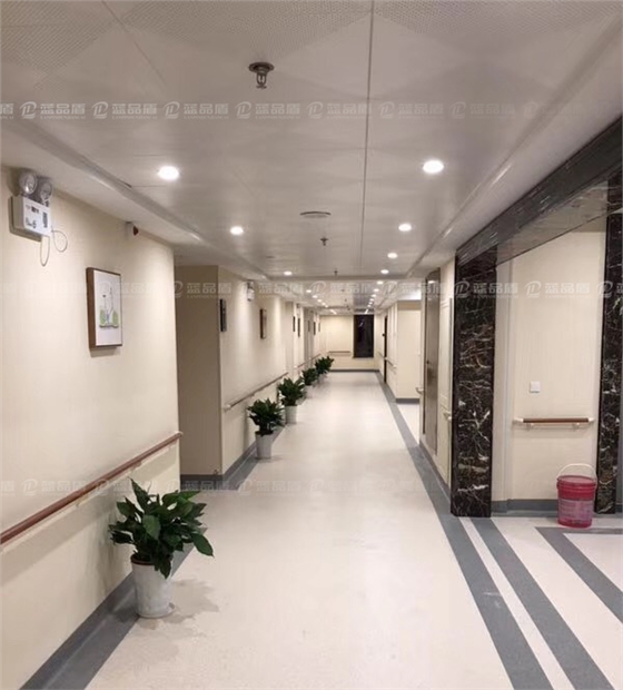 浙江湘家蕩養老工程38木紋扶手.jpg