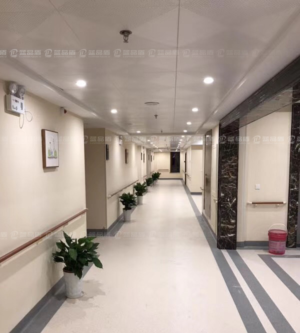 浙江湘家蕩養老工程38木紋扶手.jpg